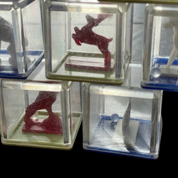 Vintage Kusan Koo Zoo Clear Plastic Blocks Animals Rattle Inside 1950s Toy READ - Picture 12 of 16